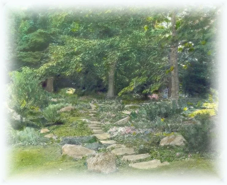 Stone path leading through low flowers into trees