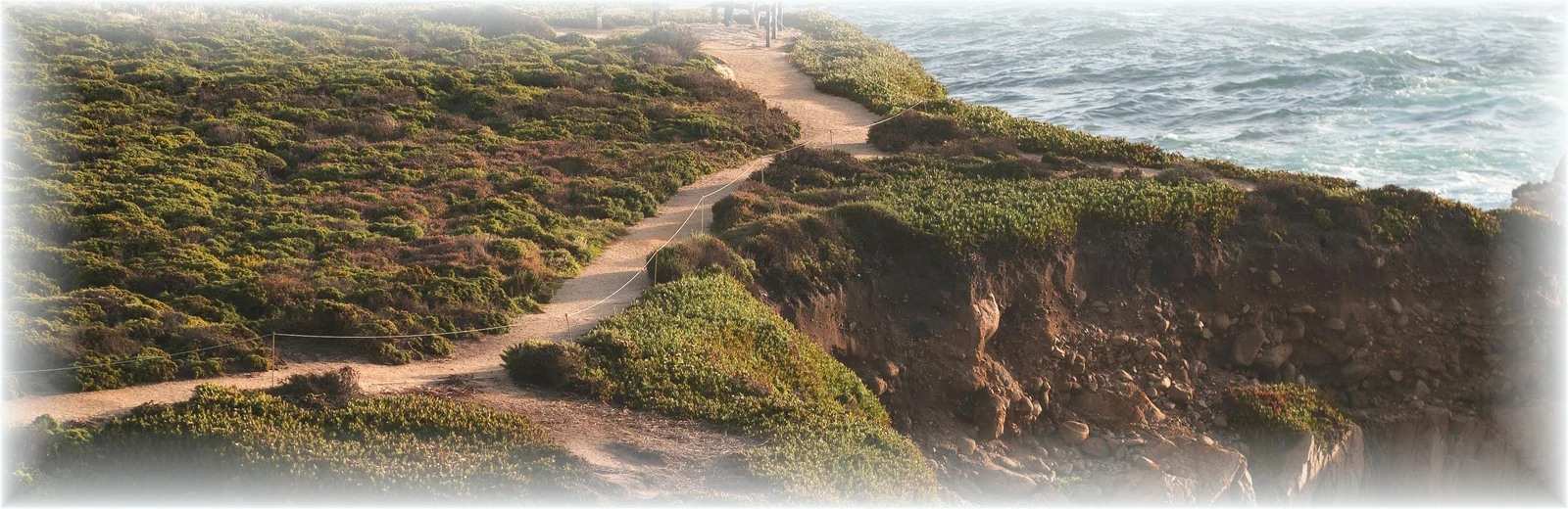 A person walking along a coastal path above the ocean